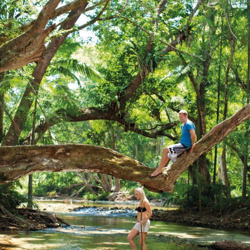 daintree-national-park-queensland-15