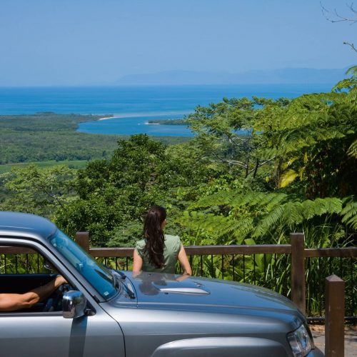 daintree-national-park-queensland-4